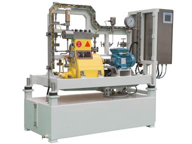 Offshore hazardous area chemical injection pump.